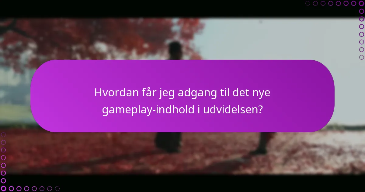 Hvad er almindelige fejlfindingstips til at få adgang til udvidelsen?